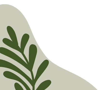 PHẠM TƯỜNG TRANG