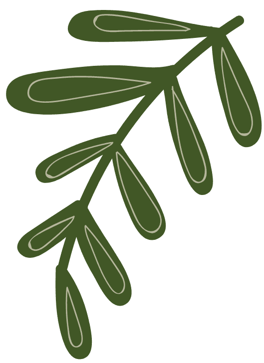 PHẠM TƯỜNG TRANG